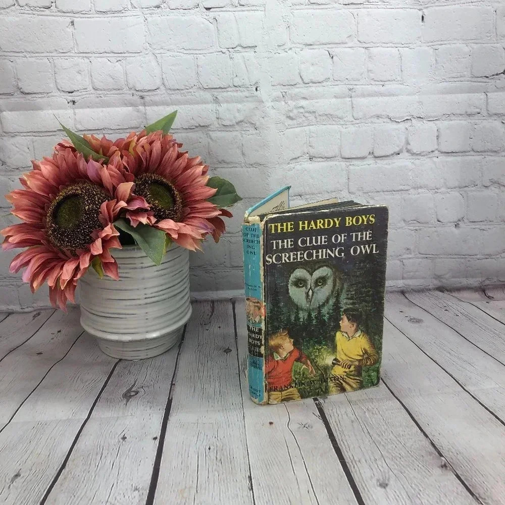 Vintage The Hardy Boys THE clue of the screeching owl 1962